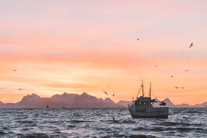 Fiskebåt på havet i solnedgång.